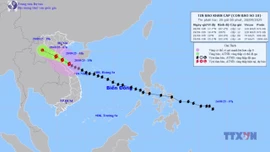 Trung tâm Dự báo KTTV quốc gia dự báo tác động của bão số 10