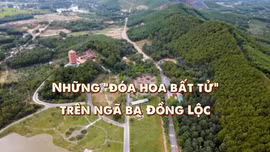 Thông điệp lịch sử: Những 'đóa hoa bất tử' trên ngã ba Đồng Lộc