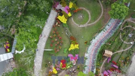 Bản đồ Việt Nam được tạo hình từ khoảng 1.000 giống hoa kiểng