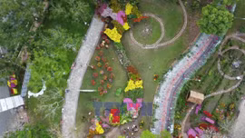 Bản đồ Việt Nam được tạo hình từ khoảng 1.000 giống hoa kiểng