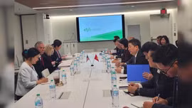 Thông tin mới về đàm phán thuế quan Việt Nam - Hoa Kỳ