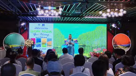 'Bốn mùa yêu thương' đầy màu sắc trong tranh của họa sĩ Nguyễn Mạnh Hùng