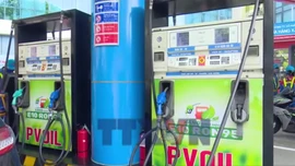 Đẩy nhanh lộ trình triển khai xăng sinh học E10, giảm áp lực nhập khẩu