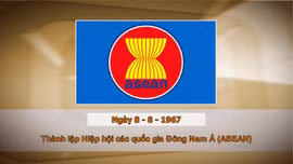 Khoảnh khắc & sự kiện ngày 8/8