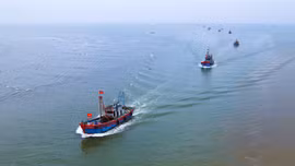 Quyết tâm gỡ thẻ vàng IUU vì uy tín đất nước