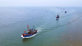 Quyết tâm gỡ thẻ vàng IUU vì uy tín đất nước