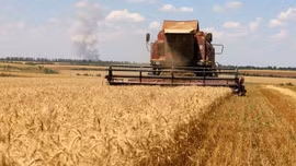 EU thiết lập kỷ lục mới về thương mại nông sản toàn cầu