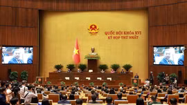 Thời sự 24h qua ảnh chiều 24/4