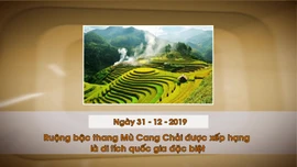 Khoảnh khắc & sự kiện ngày 31/12