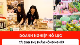 Doanh nghiệp nỗ lực tái sinh phụ phẩm nông nghiệp