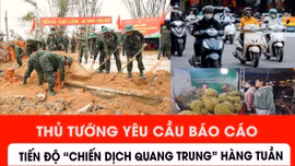 Thủ tướng yêu cầu báo cáo tiến độ 'Chiến dịch Quang Trung' hằng tuần