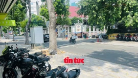  TP Hồ Chí Minh: Tạm ngưng thu phí vỉa hè, xây dựng đề án quản lý mới