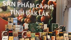 Nhiều nét mới tại Lễ hội cà phê Buôn Ma Thuột năm 2025