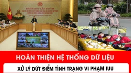 Hoàn thiện hệ thống dữ liệu, xử lý dứt điểm tình trạng vi phạm IUU