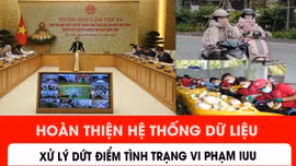 Hoàn thiện hệ thống dữ liệu, xử lý dứt điểm tình trạng vi phạm IUU