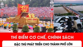 Thí điểm cơ chế, chính sách đặc thù phát triển 3 thành phố lớn