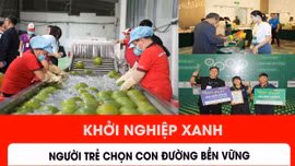 Khởi nghiệp xanh: Người trẻ chọn con đường bền vững