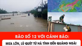 Bão số 12: Cảnh báo mưa lớn, lũ quét từ Hà Tĩnh đến Quảng Ngãi 