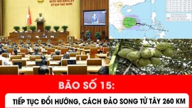 Bão số 15 tiếp tục đổi hướng, cách đảo Song Tử Tây khoảng 260 km