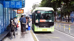 Xe buýt TPHCM tăng trưởng 39% trong tháng đầu miễn phí vé