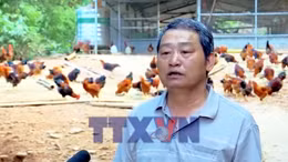 Từ nghề truyền thống đến sản phẩm hàng hóa