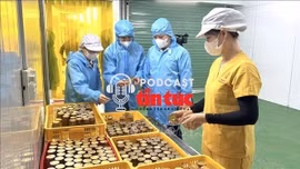 Đẩy mạnh nội dung chuyển đổi số trong sửa đổi Luật An toàn thực phẩm