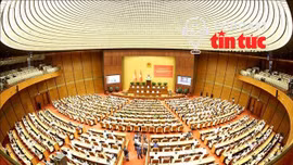 Tin nóng trong nước ngày 29/7/2026