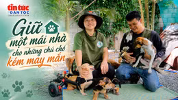 Giữ một mái nhà cho những chú chó kém may mắn