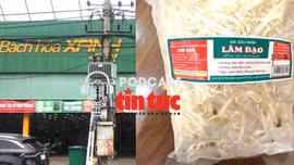 ‘Giải mã cùng luật sư’: Hàng nghìn tấn giá đỗ ngâm chất độc hại được tiêu thụ, ai là người chịu trách nhiệm? 