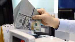 Ngoại tệ dịp cuối năm: Cung cầu có gặp nhau?