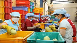 Ngoại giao kinh tế đưa nông sản Việt vươn xa