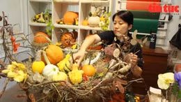 Độc đáo set bí ngô tiền triệu trang trí Halloween