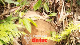 Tin nóng trong nước nghe nhanh sáng 25/8