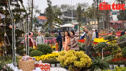 Lễ hội hoa Xuân Quan 2023 thu hút đông đảo du khách