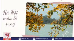 Hà Nội mùa cây rụng lá