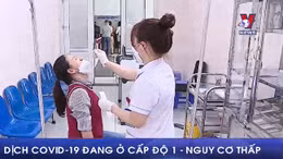 Dịch COVID-19 đang ở cấp độ 1 - nguy cơ thấp