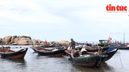 Ngư dân Kỳ Xuân trúng mùa cá mờm cơm