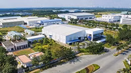 TP Hồ Chí Minh giảm 30% tiền thuê đất cho người bị ảnh hưởng bởi COVID-19