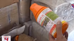 Thu giữ số lượng lớn thuốc bảo vệ thực vật không rõ nguồn gốc
