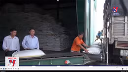 Giá gạo tăng cao nhất trong gần 2 năm qua
