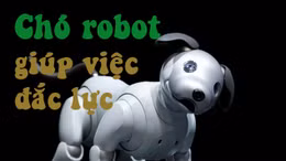 Robot chó cưng của Sony giúp việc đắc lực gia đình