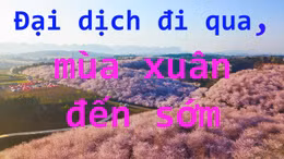 Mùa Xuân đến sớm tại Trung Quốc khi đỉnh dịch đi qua