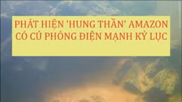 Phát hiện loài lươn Amazon có thể phóng điện như trong phim viễn tưởng