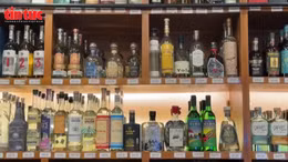 Ngành rượu tequila đứng trước rủi ro từ thuế của ông Trump