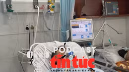 TP Hồ Chí Minh: Cảnh báo nhiều dịch bệnh truyền nhiễm gia tăng cuối năm