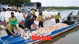 Tin nóng trong nước sáng 1/6/2026