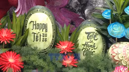Happy Tết 2026 - Lan tỏa hồn Tết Việt
