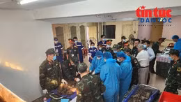 Phát hiện 5 bộ hài cốt liệt sĩ trong đợt tìm kiếm tại Công viên Lê Thị Riêng.