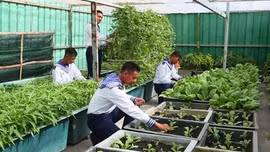 Tăng gia sản xuất ở Trường Sa