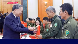Thời sự 24h qua ảnh sáng 12/11